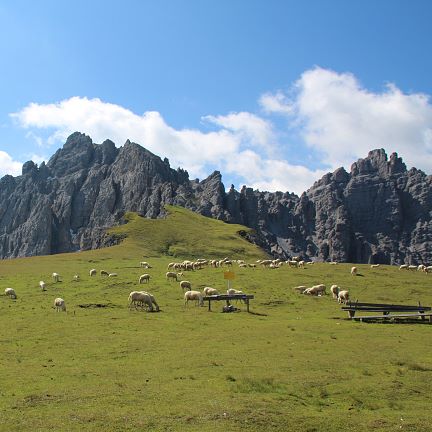 No. 3 Hochtennboden